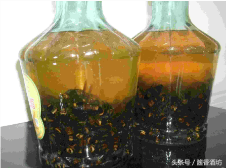 如何浸泡金环胡蜂酒，金环胡蜂酒制作方法