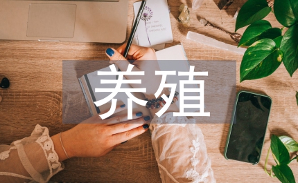 蛋鸡养殖(精选5篇)