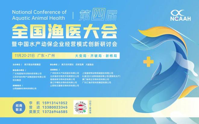 全线涨价！最高涨4元/斤，饲料鳜能赚6元/斤！鱼仔鳜和饲料鳜，谁才是老大？