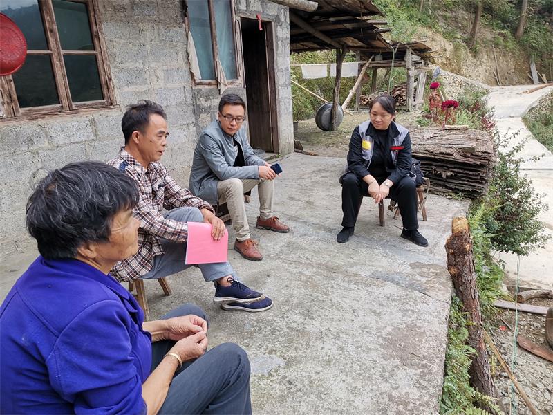 在广东农村种植什么最赚钱_广东农村种植致富项目_致富种植广东农村项目有哪些