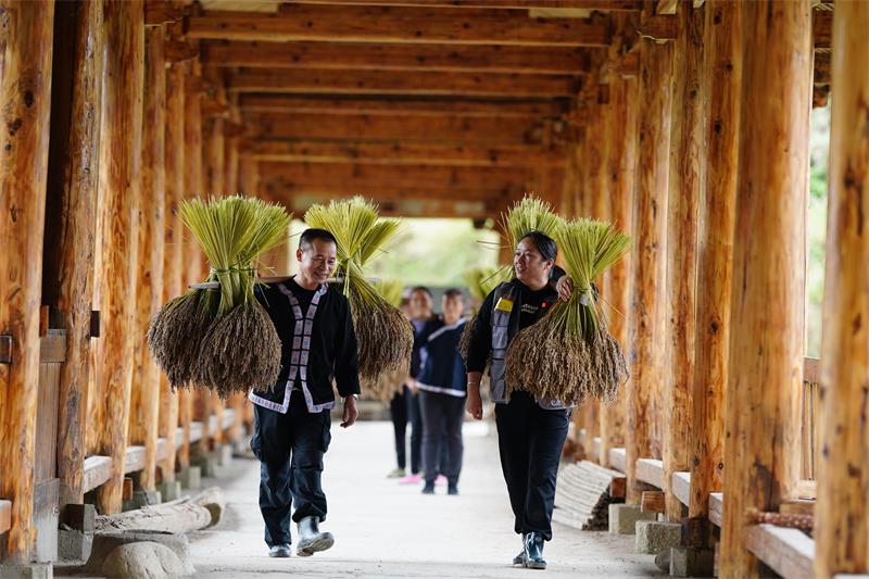 在广东农村种植什么最赚钱_广东农村种植致富项目_致富种植广东农村项目有哪些