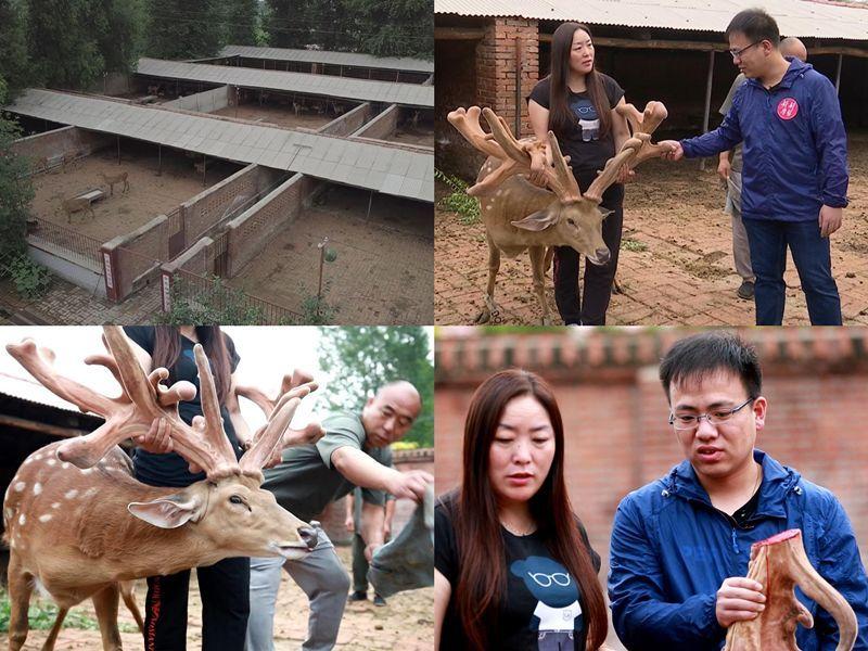 致富养殖业_致富养殖个人项目怎么做_一个人养殖致富项目