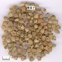覆盆子家庭种植技术_种植覆盆子经济效益前景怎么样_种植覆盆子家庭技术有哪些