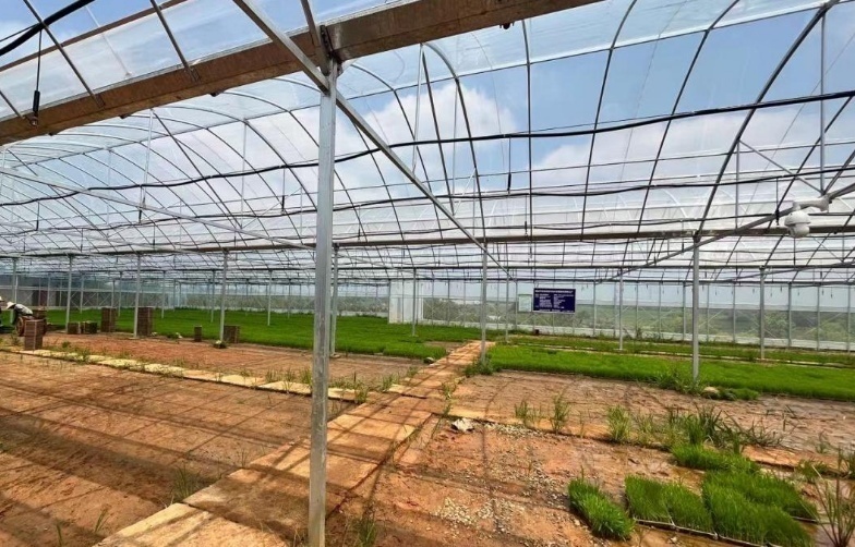 桐城农家小院_桐城农庄_桐城农村种植致富