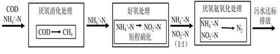 生猪健康养殖技术操作规范_生猪养殖关键健康技术有哪些_生猪健康养殖关键技术
