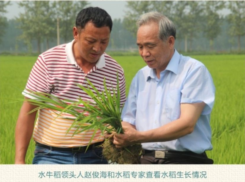 致富经牛养殖视频_致富经水牛视频_致富经养牛致富故事视频