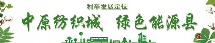 秋葵种植经济效益_种植秋葵有销路吗_秋葵种植增收致富