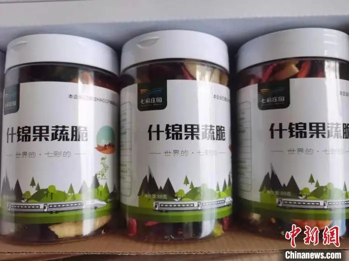 秋葵种植效益_种植秋葵有销路吗_秋葵种植增收致富