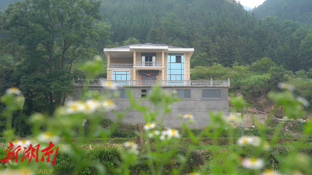 广东田螺养殖场_广东田螺养殖技术视频_农广天地田螺养殖技术视频