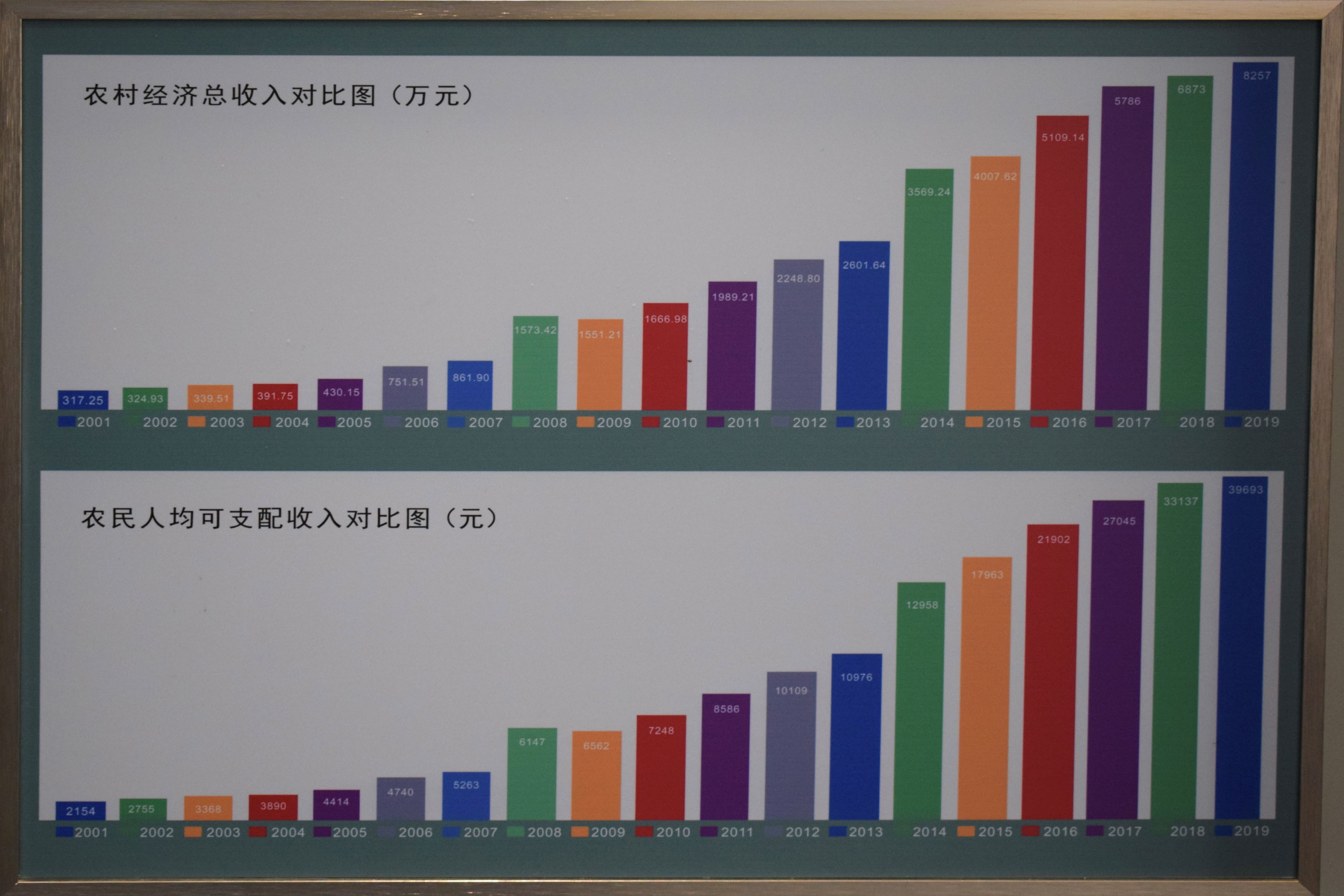 种植兰花脱贫致富_种植致富宝典_地黄种植致富