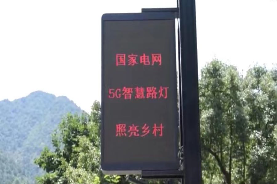 地黄种植致富_种植兰花脱贫致富_种植致富宝典
