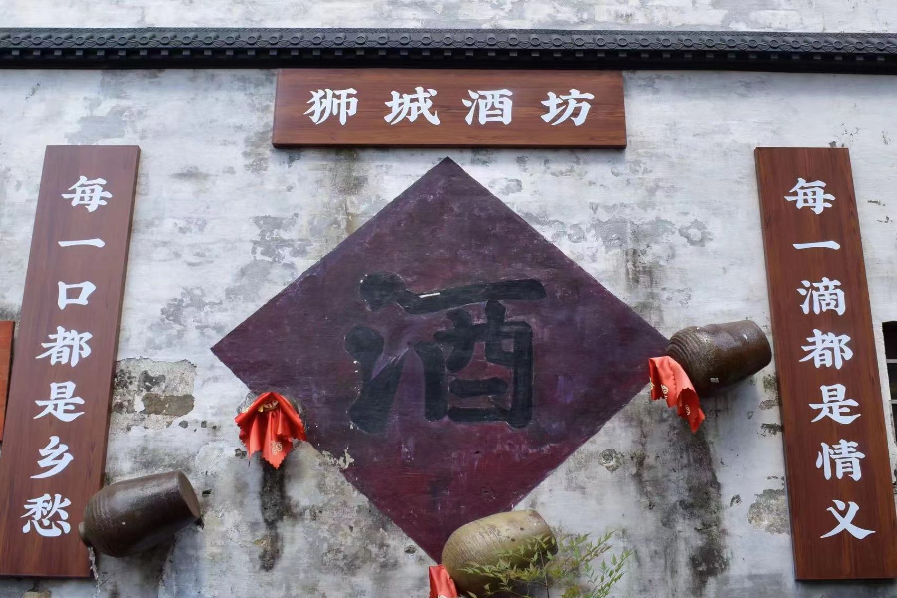 种植兰花脱贫致富_地黄种植致富_种植致富宝典