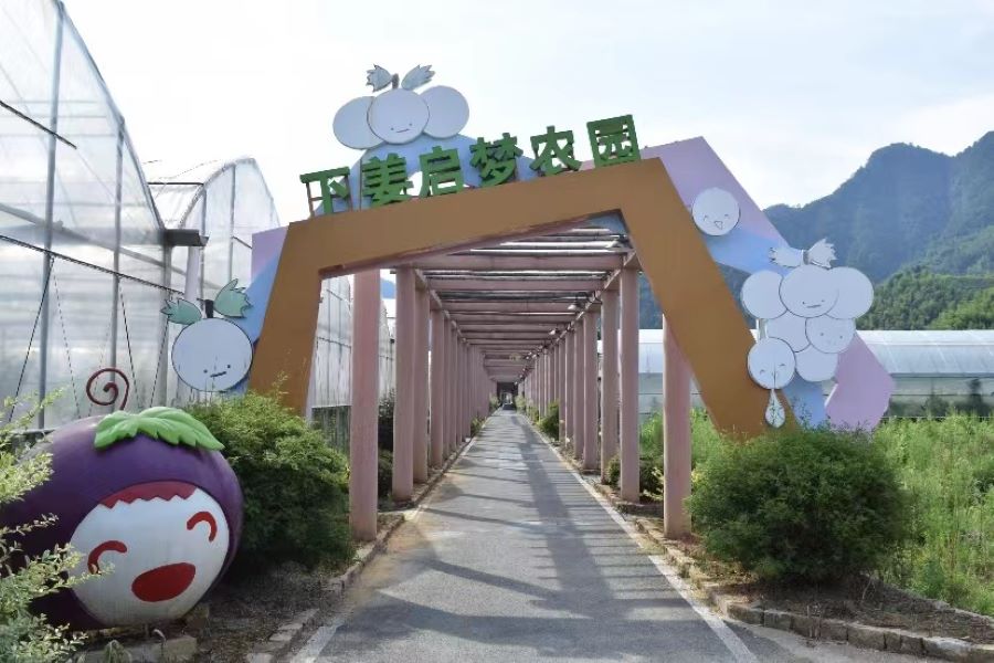 地黄种植致富_种植致富宝典_种植兰花脱贫致富