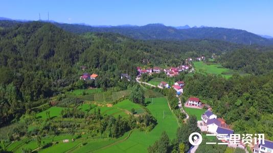 致富经七彩山鸡_七彩山鸡养殖技术和视频_致富经七彩山鸡视频