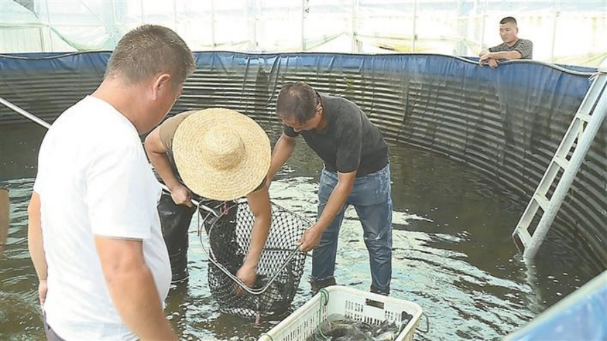致富养殖种植方法和技术_种植养殖致富方法_致富养殖好项目大全