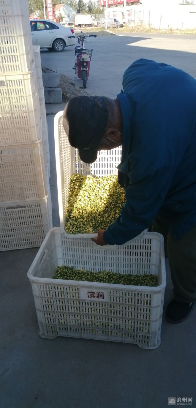 致富种植视频全集_种植致富新项目_种植致富的趋势
