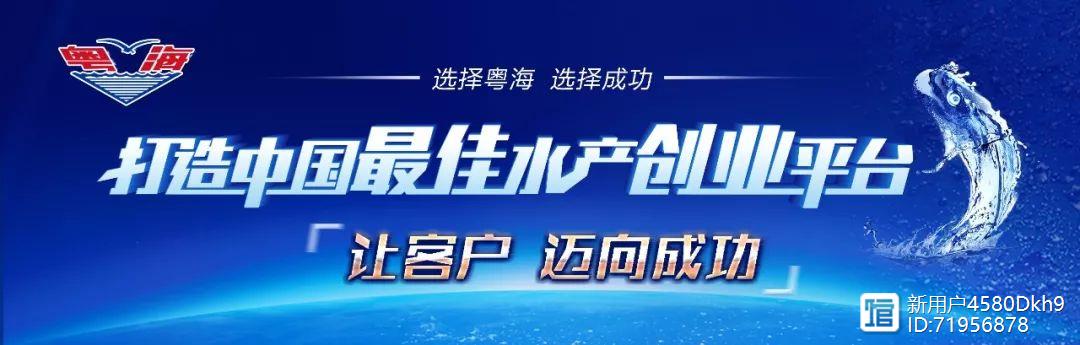 养虾爬子怎么养_活爬虾怎么养殖技术_爬虾养殖技术视频