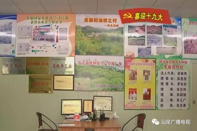 致富种植视频全集_种植致富的趋势_致富种植趋势图