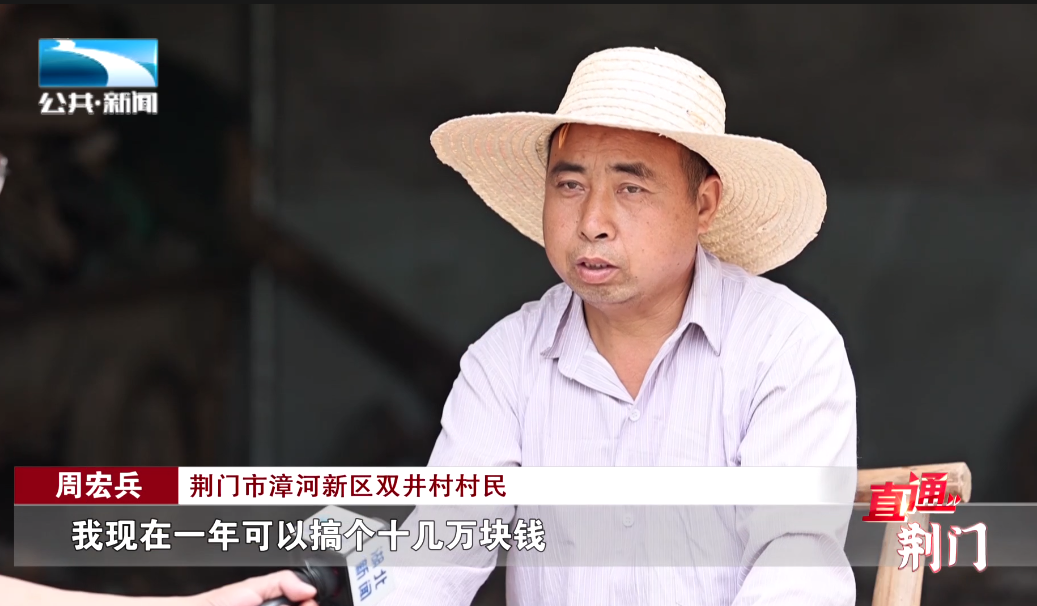 致富西瓜种植早熟技术视频_西瓜早熟栽培要点_种植早熟西瓜致富吗