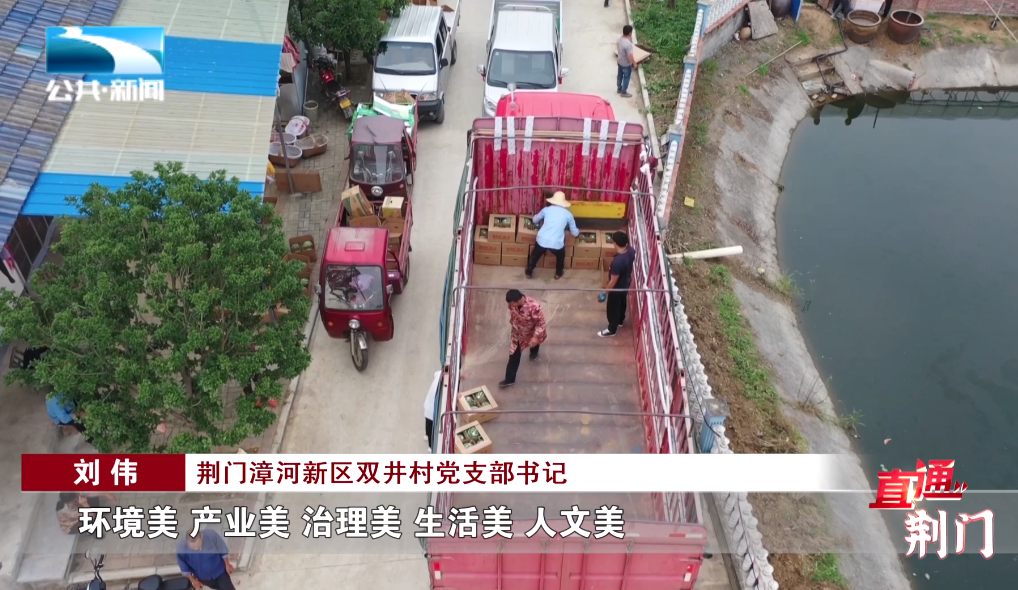 致富西瓜种植早熟技术视频_西瓜早熟栽培要点_种植早熟西瓜致富吗