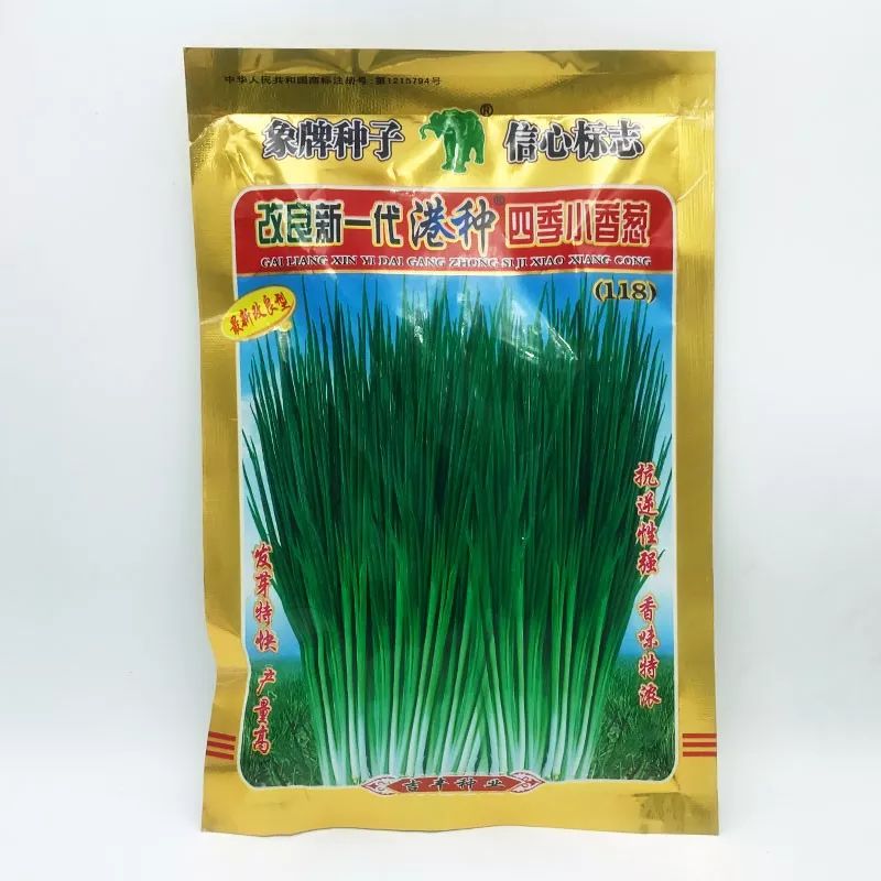 致富葱四季种植技术视频_致富葱四季种植方法_致富经四季葱种植