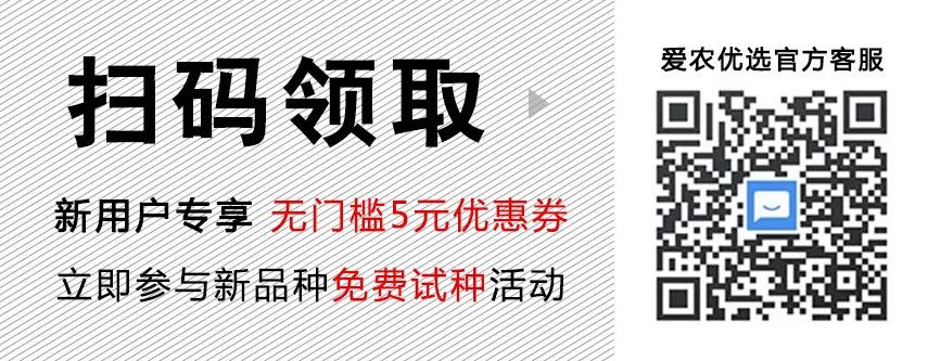 致富经四季葱种植_致富葱四季种植方法_致富葱四季种植技术视频