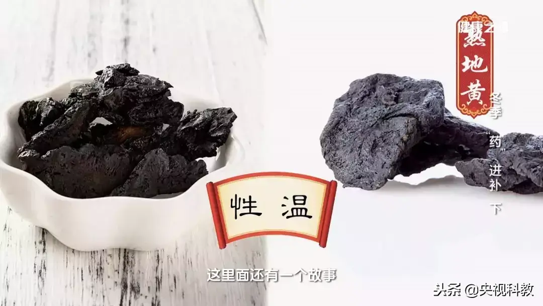 云南茯苓种植基地_云南茯苓种植技术视频_云南茯苓产区