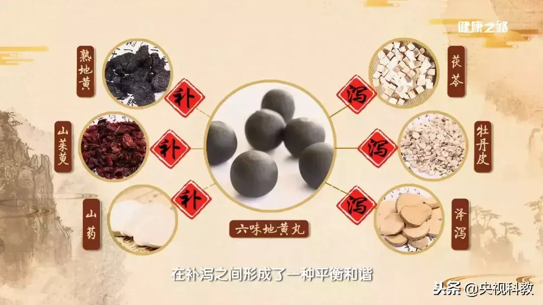 云南茯苓种植技术视频_云南茯苓产区_云南茯苓种植基地