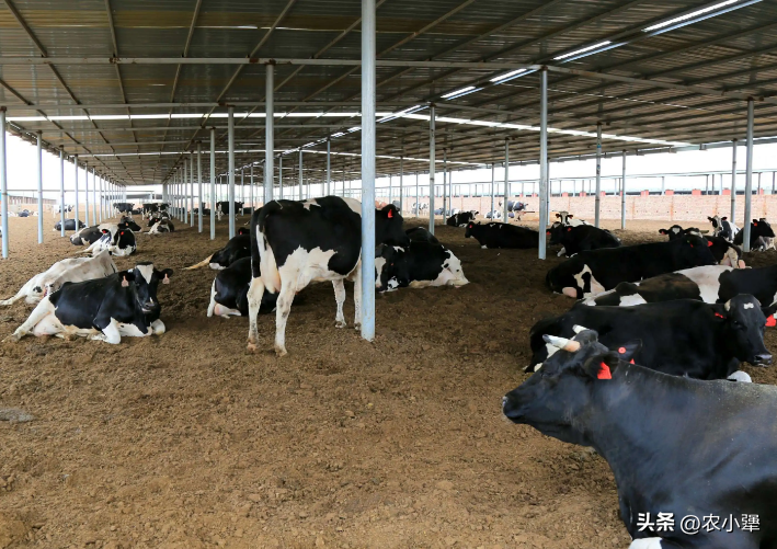 农民自己养殖致富_致富养殖农民图片_致富养殖农民图片大全