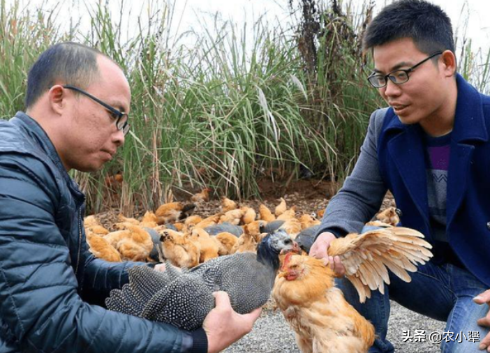 致富养殖农民图片_致富养殖农民图片大全_农民自己养殖致富