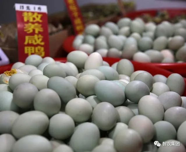致富经蛇毒4十个亿_致富经养蛇_致富经养毒蛇