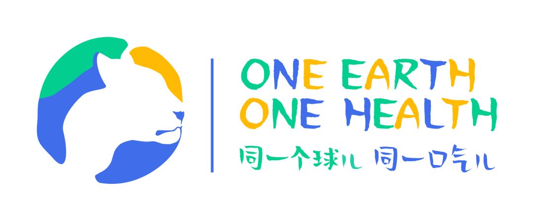 致富经养蛇_致富经养毒蛇_致富经养殖毒蛇视频