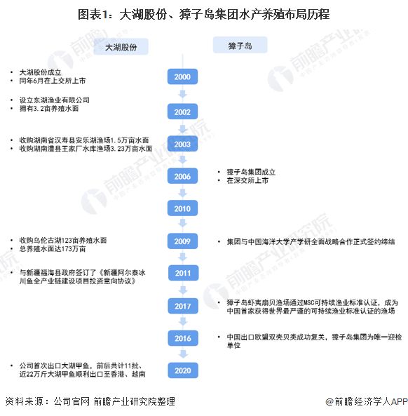 干货！