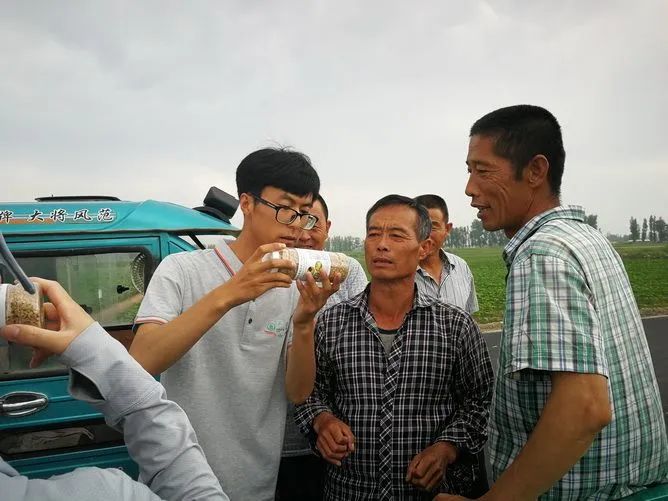 致富种植红尖椒怎么样_红尖椒种植致富_致富种植红尖椒视频