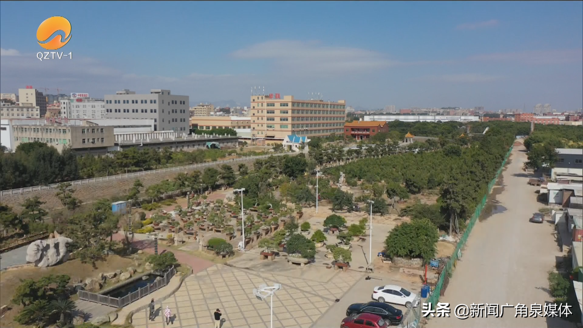 「奋进路上的拼搏人·泉州最美林业人」党员引领产业路 林业书写致富经