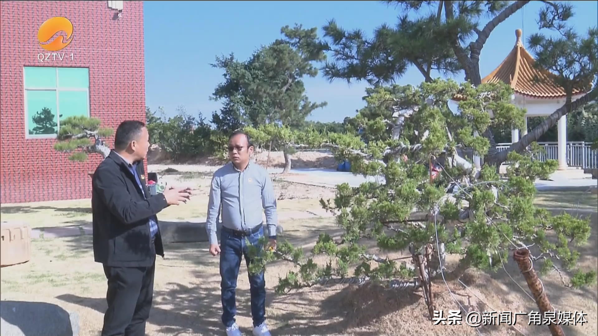 中央台致富节目有哪些_中央七台致富经官网盆景_中央致富频道直播
