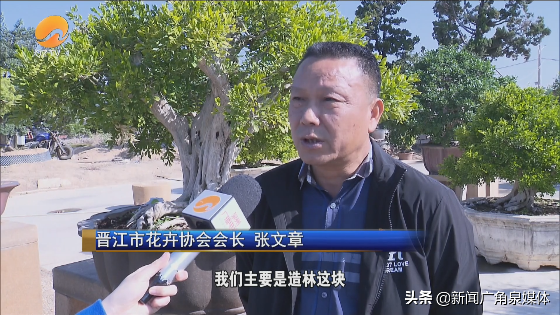 中央致富频道直播_中央台致富节目有哪些_中央七台致富经官网盆景