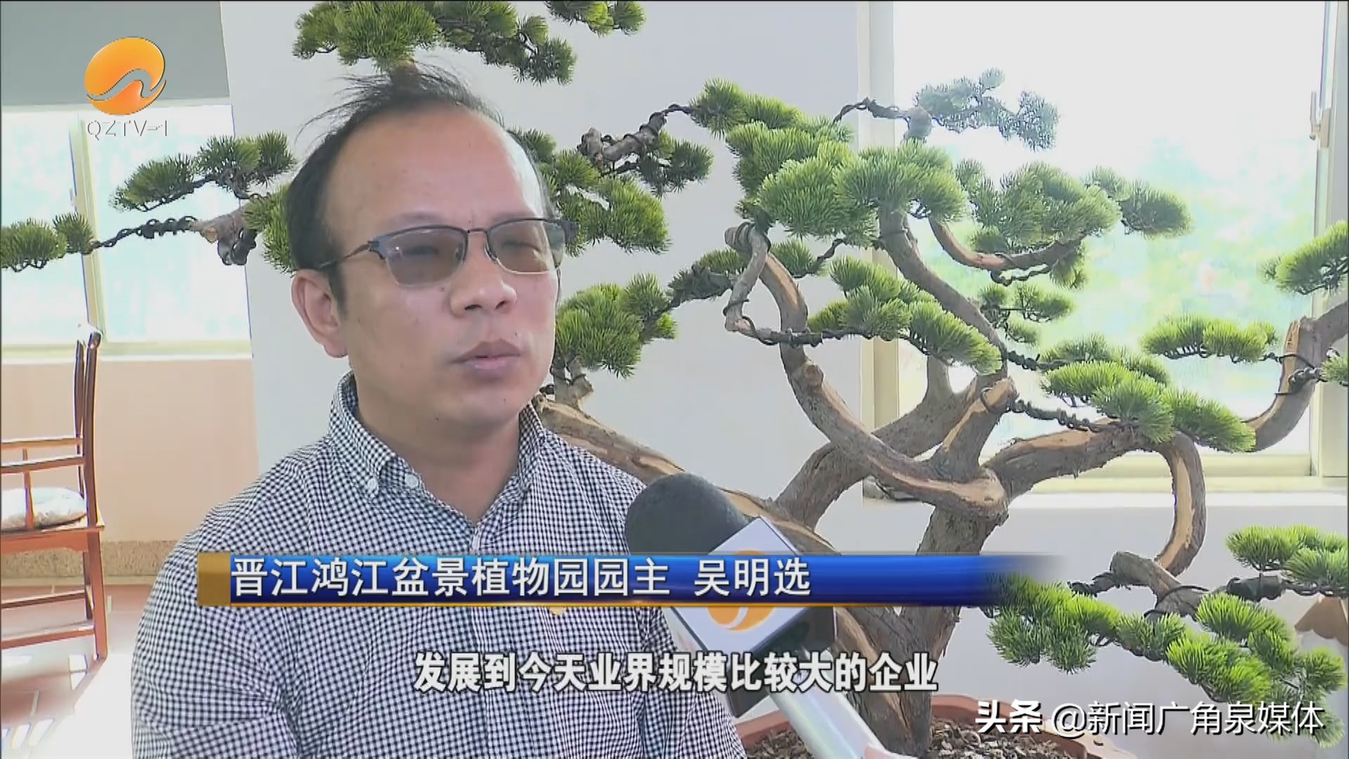 中央致富频道直播_中央台致富节目有哪些_中央七台致富经官网盆景