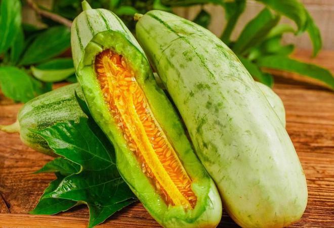 之麻蜜甜瓜种植技术_麻蜜种植甜瓜技术要点_麻蜜种植甜瓜技术视频