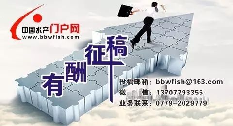 龙虾养殖教程书_小龙虾养殖技术视_龙虾养殖技术指导视频