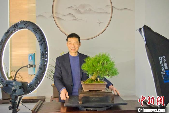 中央台致富节目有哪些_中央致富经全集_中央七台致富经官网盆景