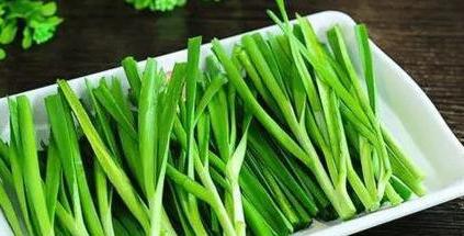 四季韭菜种植技术与管理_四季韭菜种植技术_四季韭菜种植技术和管理