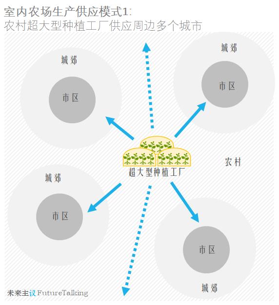 苦瓜家庭种植技术_苦瓜家庭种植_苦瓜室内种植技术
