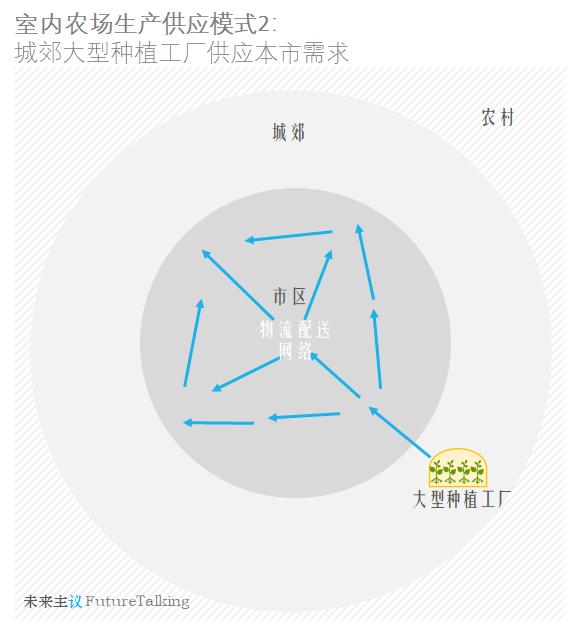 苦瓜家庭种植技术_苦瓜家庭种植_苦瓜室内种植技术