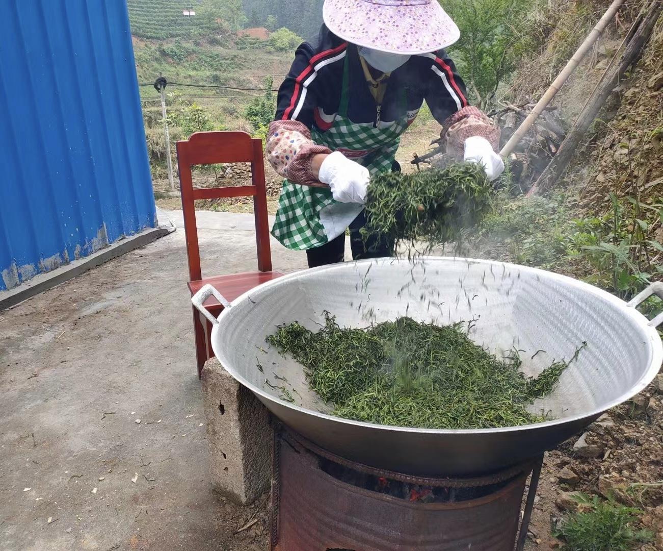 茶叶种植管理技术视频_茶叶种植技术指导方案_栽茶叶视频