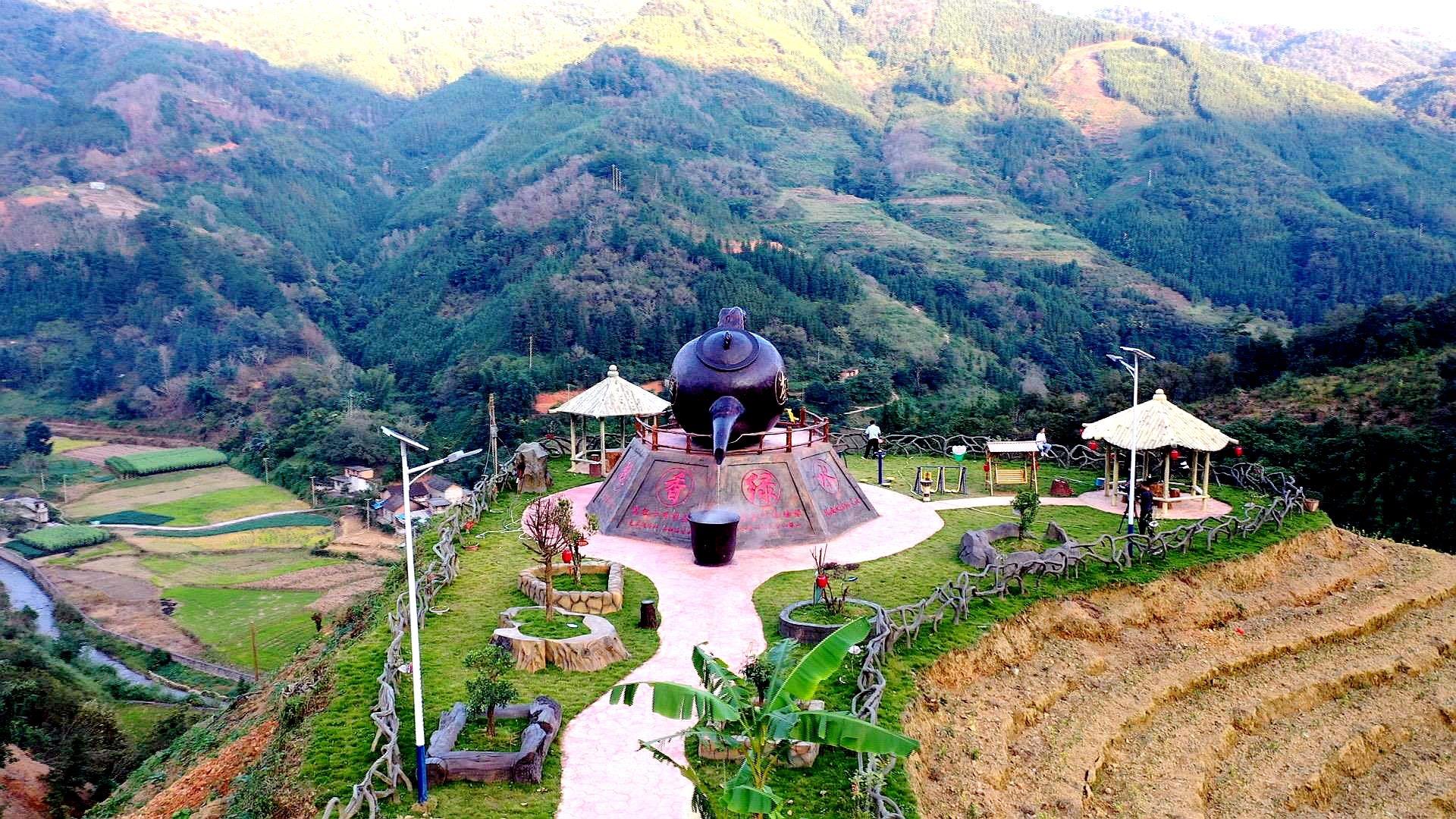 茶叶种植技术指导方案_栽茶叶视频_茶叶种植管理技术视频