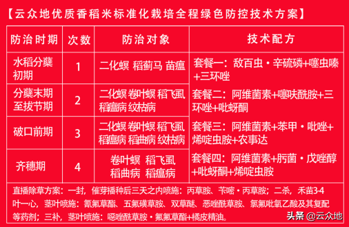 爱媛种植技术视频_爱瑷38种植技术_爱原38的种植技术