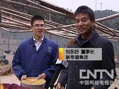 致富经散养土鸡_致富散养土鸡视频_致富散养土鸡图片