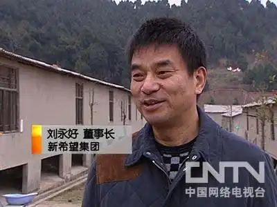 致富散养土鸡视频_致富经散养土鸡_致富散养土鸡图片