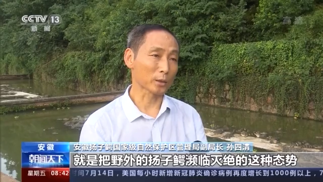 四川鳄鱼养殖温室大棚致富_大棚养鳄鱼视频_鳄鱼养殖场视频